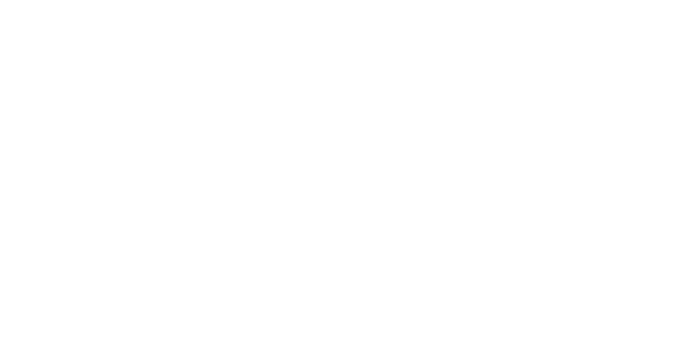 Brau-Spezialitäten Meissner Schwerter